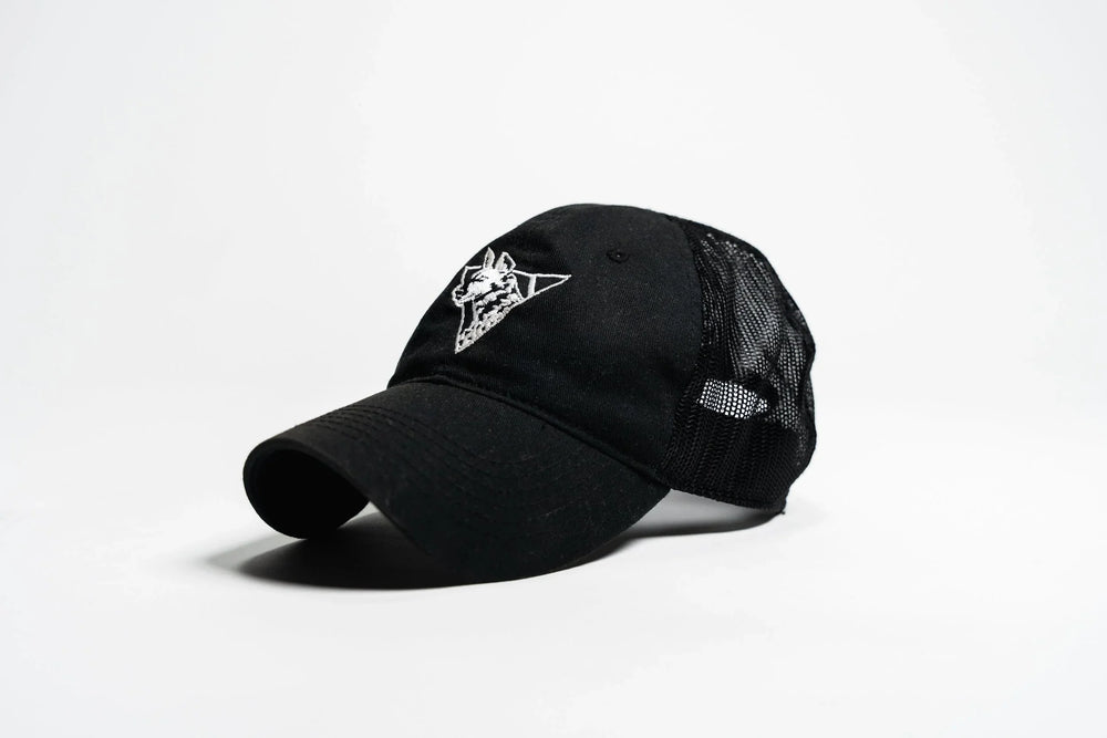 Dirty Civilian Team Cap in black, three-quarter front view showing white embroidered painted dog logo and mesh back