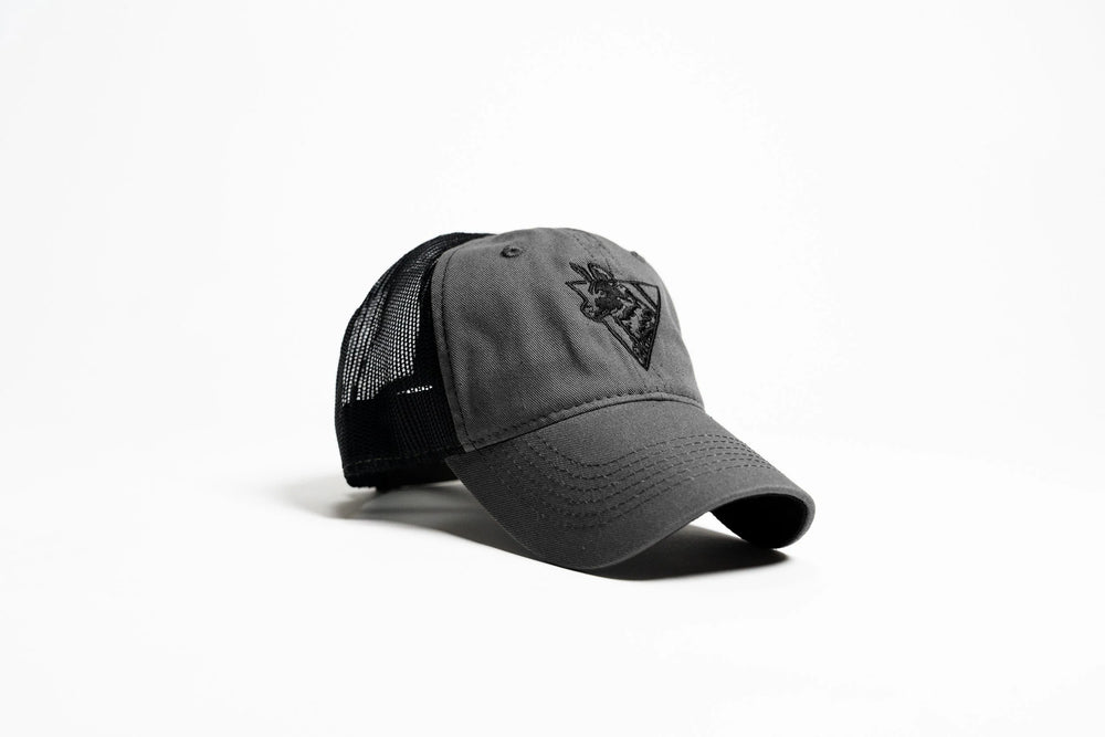 Charcoal gray Team Cap, three-quarter view with black mesh back and tonal embroidered painted dog logo